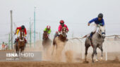 شگفتی‌های روز دوم هفته پنجم کورس پاییزه گنبدکاووس؛ کدام اسب‌ها رکورد شکستند؟