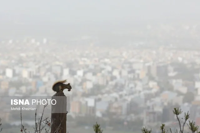 نقشه راه احیای کانون گرد و غبار شمال گلستان؛ آیا نفس زمین خشک بهبودی می‌یابد؟