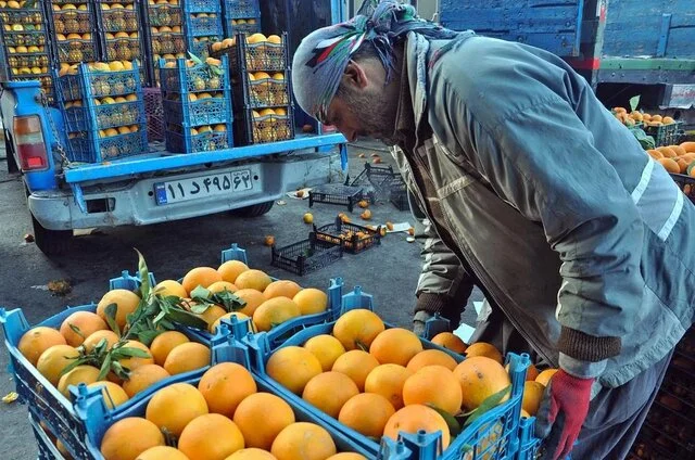 صادرات بی‌سابقه ۶۱ هزار تن تره‌بار از مرز مهران؛ چه محصولاتی صدرنشین شدند؟