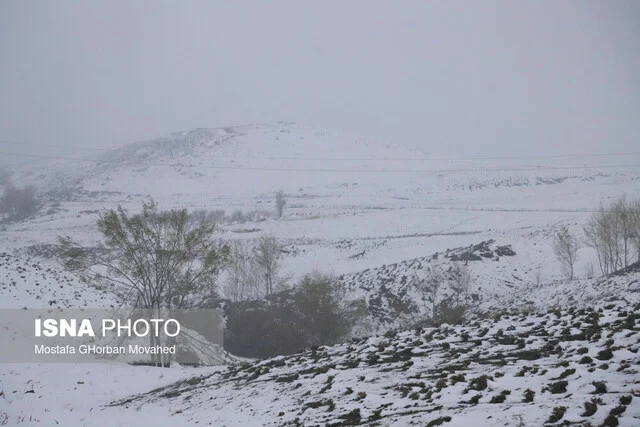 بارش‌های برفی کدام استان‌ها را سفیدپوش می‌کند؟ هشدار قرمز صادر شد!