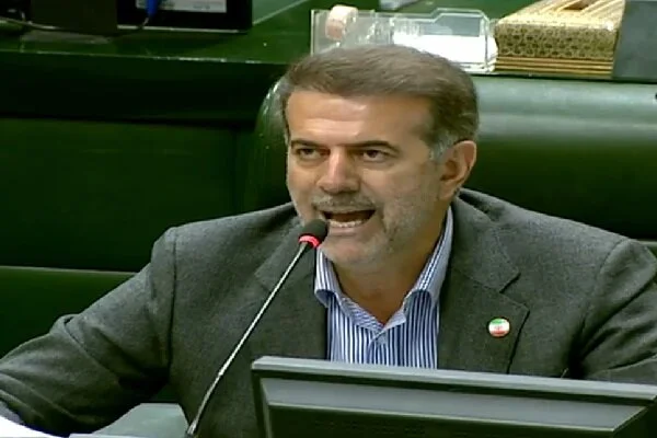 پولادی خواستار افزایش تعامل حیاتی دولت و مجلس برای عبور از بحران‌ها شد