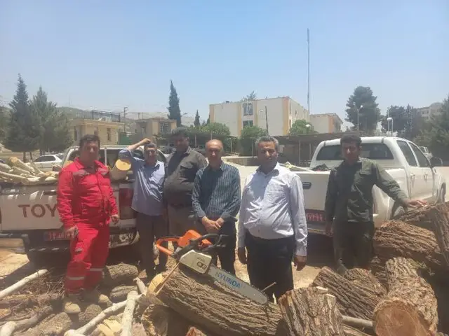 بازداشت ۱۰۱ متخلف قطع درخت و قاچاق چوب در کهگیلویه و بویراحمد؛ کشف خودرو و اره‌های غیرمجاز