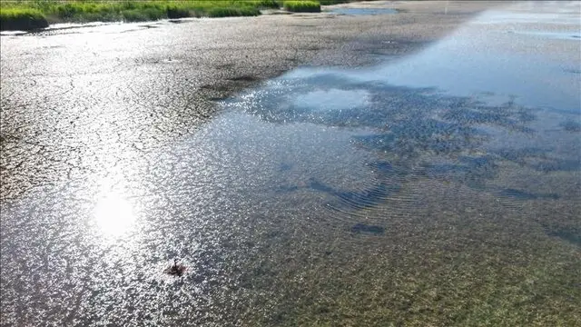 بحران آب را با تصمیمات جسورانه حل کنیم، نه با قربانی کردن کشاورزان!