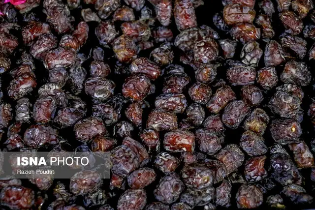 تلاش جدی فارس برای افزایش سهم صادرات ارزشمند محصولات خرما در بازار جهانی!