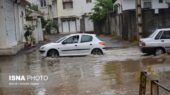 بوشهر در خط مقدم بارش‌های سنگین؛ آیا آماده مقابله هست؟