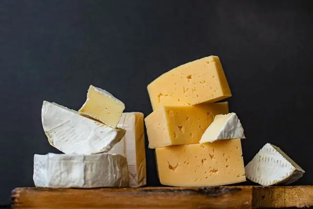 مصرف پنیر و خامه پرچرب از ابتلا به آلزایمر پیشگیری می‌کند؟