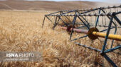 کشاورزی حفاظتی؛ راه نجات زنجان از بحران خشکسالی و تهدید امنیت غذایی