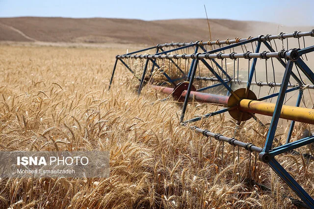 کشاورزی حفاظتی؛ راه نجات زنجان از بحران خشکسالی و تهدید امنیت غذایی