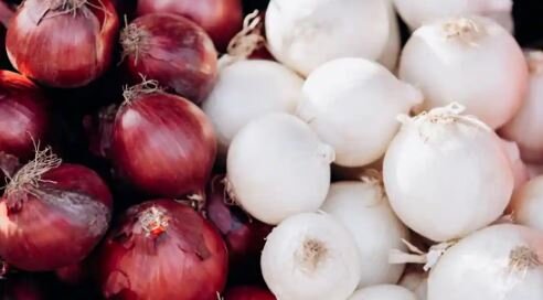 ممانعت مرزبانان از خروج ۱۶ تن پیاز قاچاق