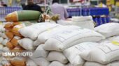آغاز توزیع ۷۴ تن برنج دولتی در بوشهر؛ دسترسی آسان به کالای اساسی برای همه مردم