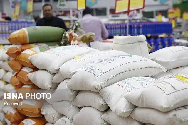 آغاز توزیع ۷۴ تن برنج دولتی در بوشهر؛ دسترسی آسان به کالای اساسی برای همه مردم