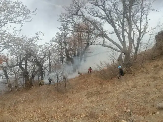 استاد دانشگاه: آتش هیرکانی، سوختن آینده ایران است