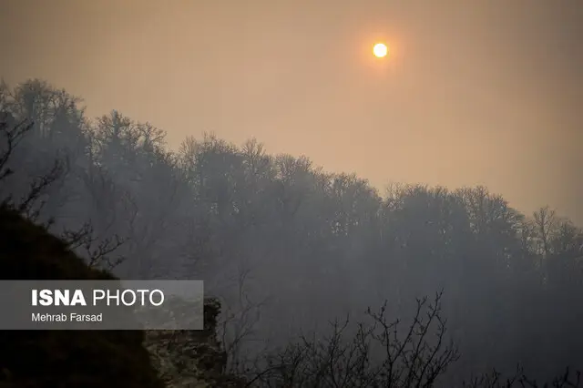 استاد دانشگاه: آتش هیرکانی، سوختن آینده ایران است