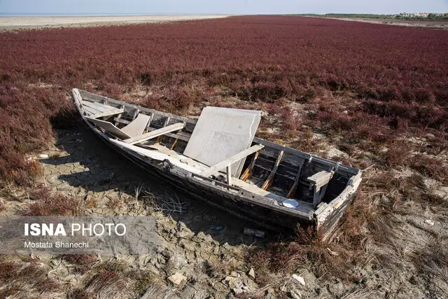 تصمیم سرنوشت‌ساز برای نجات خلیج گرگان؛ لایروب ظرف ۱۰ روز آینده استقرار می‌یابد!