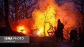 کمیسیون شوراها: دخالت انسانی علت اصلی آتش‌سوزی جنگل‌های هیرکانی