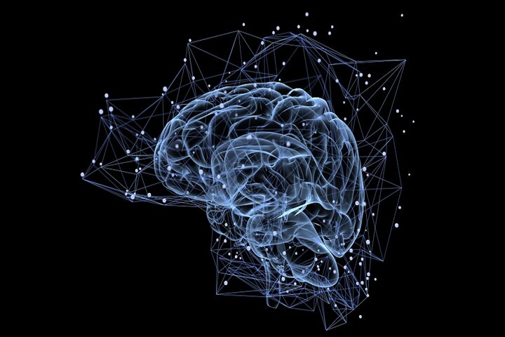 کشف مداری پنهان در مغز که دید ما را متحول می‌کند!