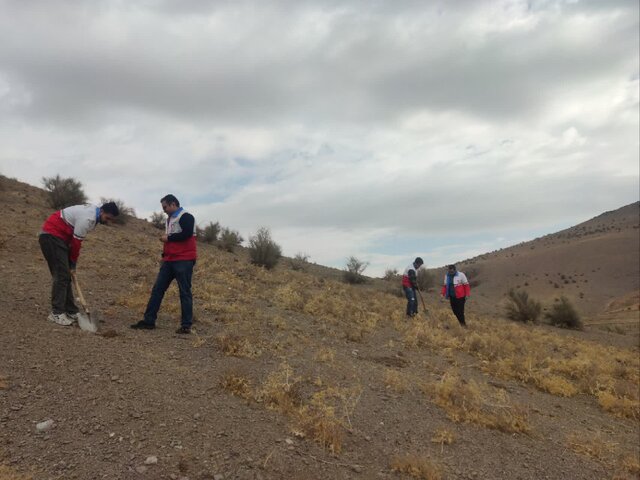 کشت بادامک و ارژن در ۲۰ هکتار از گردنه زاغه ملایر