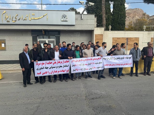 مرغداران ایلام مقابل استانداری تجمع کردند؛ کمبود سویا تهدیدی جدی برای امنیت غذایی استان