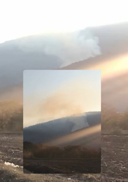 آتش‌سوزی جنگل‌های کلاله؛ نیروهای یگان حفاظت در حال نبرد با شعله‌ها!