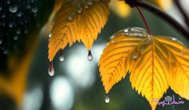 بارش ۳ میلیمتری باران در شیرین‌سو همدان و هشدار افزایش آلاینده‌ها در هوا