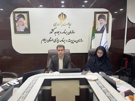  ضرورت بازتعریف نقش زنان در اشتغال پایدار ایلام