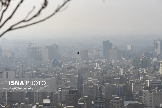 ویتامین C؛ سپر نجات‌بخش ریه‌ها در روزهای آلوده هوا که نباید از دست بدهید!