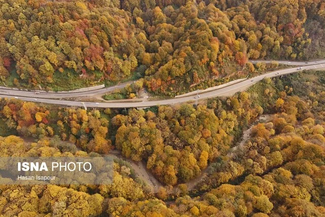 فعال محیط زیست هشدار داد: جنگل‌زدایی و رمه‌گردانی چگونه بارش‌های ایران را تهدید می‌کنند؟