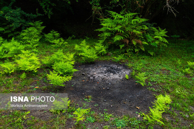 هشدار رئیس مؤسسه تحقیقات خاک و آب: حاصلخیزی خاک ایران به سرعت در حال کاهش است!