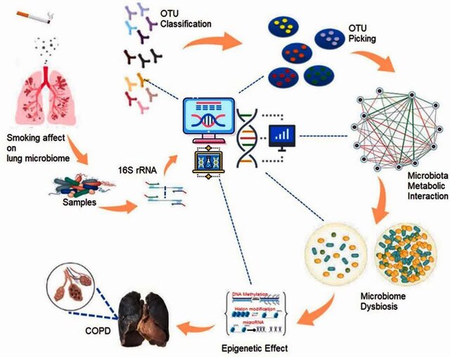 دانشمندان دانشگاه تهران رمز تازه‌ای برای درمان بیماری سخت ریه کشف کردند!