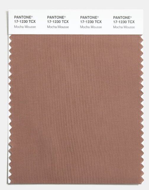 واکنش‌های تند به انتخاب «رنگ سال»