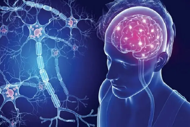 چرا بیماری‌های عصبی مردان و زنان اینقدر متفاوت ظاهر می‌شوند؟