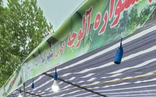 نگاهی به پتانسیلهای گردشگری خوراک در صومعهسرا