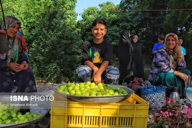 نگاهی به پتانسیلهای گردشگری خوراک در صومعهسرا