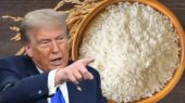 تعرفه‌های جدید ترامپ علیه برنج هندی