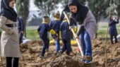 مدیرکل منابع طبیعی و آبخیزداری استان: ۲۰۰۰ نهال به نام و یاد مادران همدانی غرس می‌شود