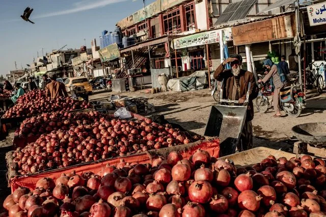 مرزهای بسته؛ زندگی‌های معلق میان کابل و پیشاور