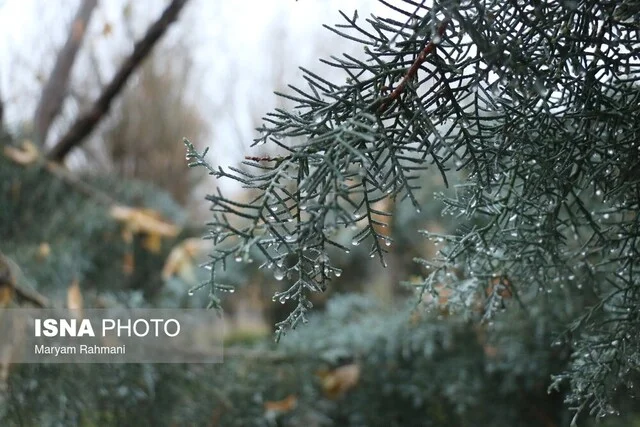 هشدار سطح زرد در گلستان؛ ورود سامانه سرد و بارشی از پنجشنبه!