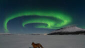 شفق قطبی در لباس روباه آتشین؛ عکس بی‌نظیر ناسا از آسمان لاپلند!