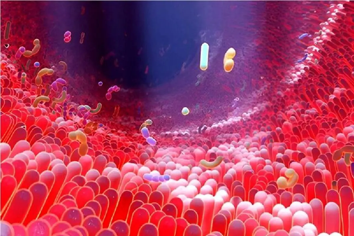 ماده مغذی ساده‌ای که روده‌ شما را به خط مقدم مبارزه با دیابت تبدیل می‌کند!