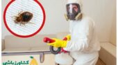 سمپاشی ساس بدون تخلیه منزل و بدون بو؛ راز موفقیت شرکت کشاورزباشی در مقابله با آفت مزاحم!
