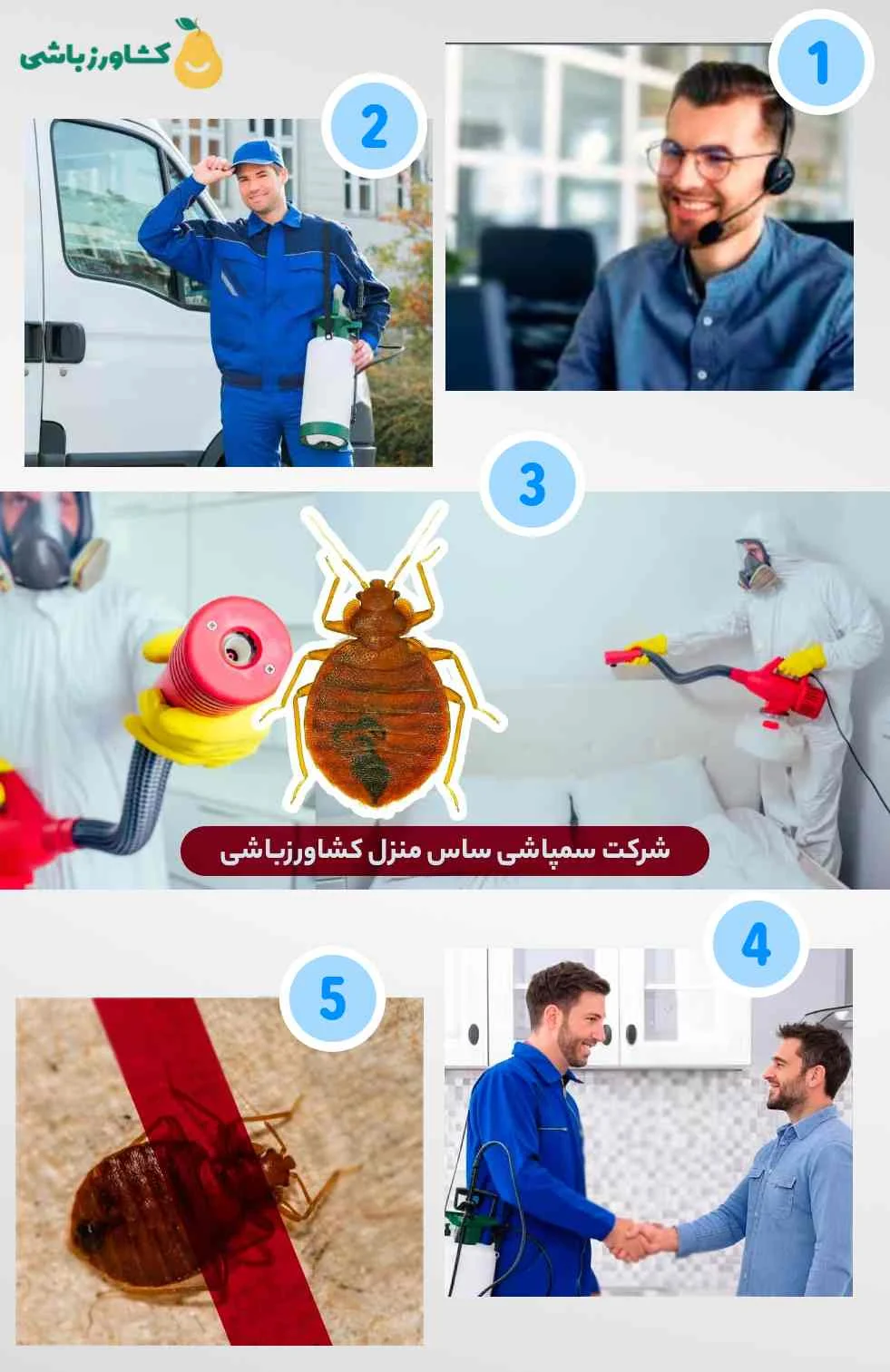 شرکت سمپاشی ساس کشاورزباشی رتبه بالا در سمپاشی ساس (بدون تخلیه منزل-بدون بو)