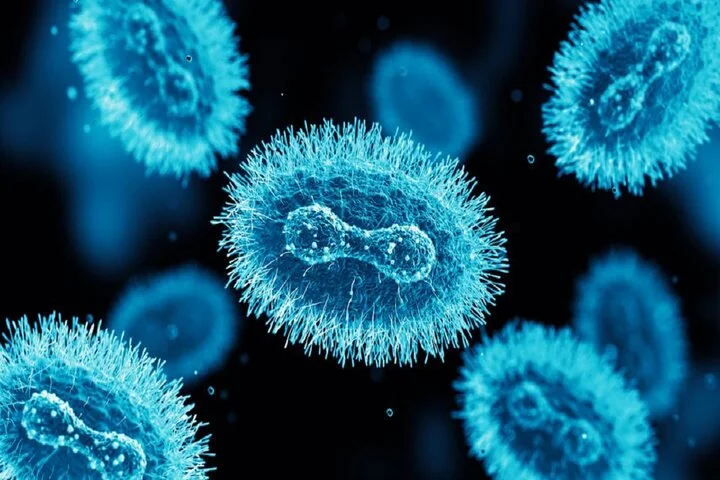 هوش مصنوعی نقطه ضعف خطرناک آبله میمونی را فاش کرد؛ امیدی تازه برای درمان