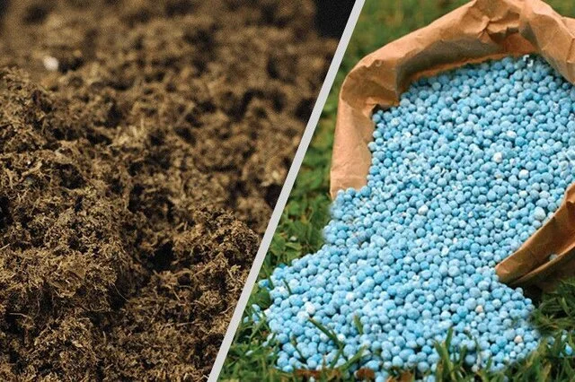 چهارمحال و بختیاری در مسیر تحقق ۱۰۰ درصدی توزیع کود شیمیایی؛ بیش از ۲۳ هزار تن جذب شد!