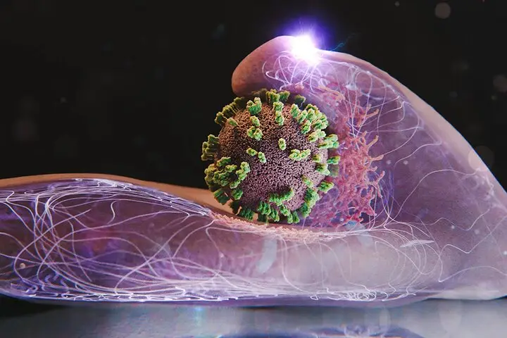 دو قربانی آنفلوآنزا در آذربایجان شرقی؛ آیا وضعیت همچنان تحت کنترل است؟