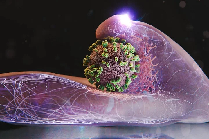 این گروه‌های حساس هر سال قربانی پیک آنفلوآنزا می‌شوند؛ شما چطور؟