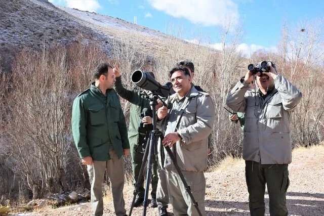 آغاز سرشماری زمستانه پستانداران بزرگ در زیستگاه‌های حساس اردبیل؛ نتایج مهم در راه است!