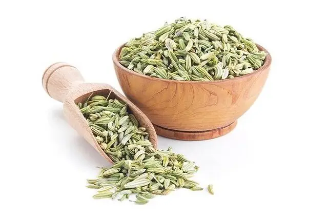 راز شگفت‌انگیز رازیانه در کنترل خونریزی قاعدگی که شاید نمی‌دانستید!