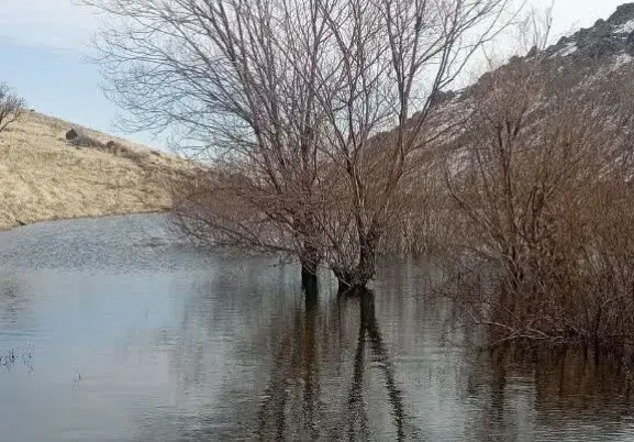 بارش‌های اخیر تأثیری بر سازه‌های آبخیزداری همدان داشت؟