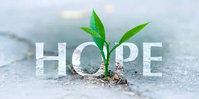 امید اجتماعی در آستانه تغییر؛ آیا دولت چهاردهم راهگشا خواهد بود؟