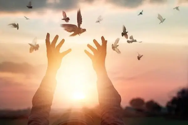 رهایی یک جوان محکوم به قصاص در قم با گذشت شجاعانه خانواده مقتول